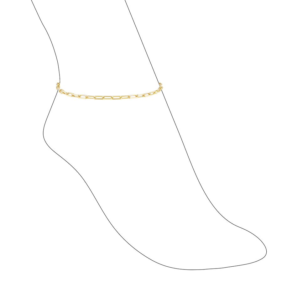 Sahira Codie Link Anklet